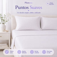 Puntos Suaves